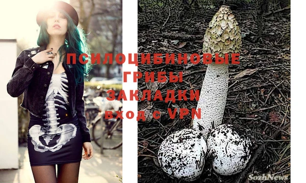 шишки Покровск