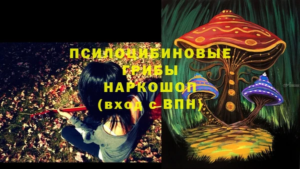 гашик Красавино